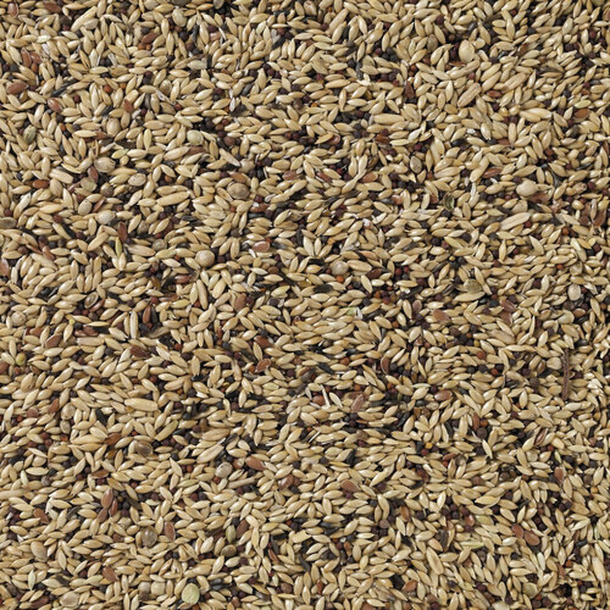 Fuglefoder Deli Nature Premium 4 Kg