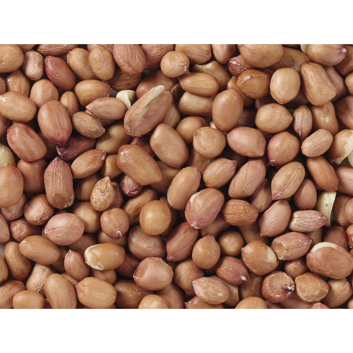 Fuglefoder Deli Nature Premium 3 Kg
