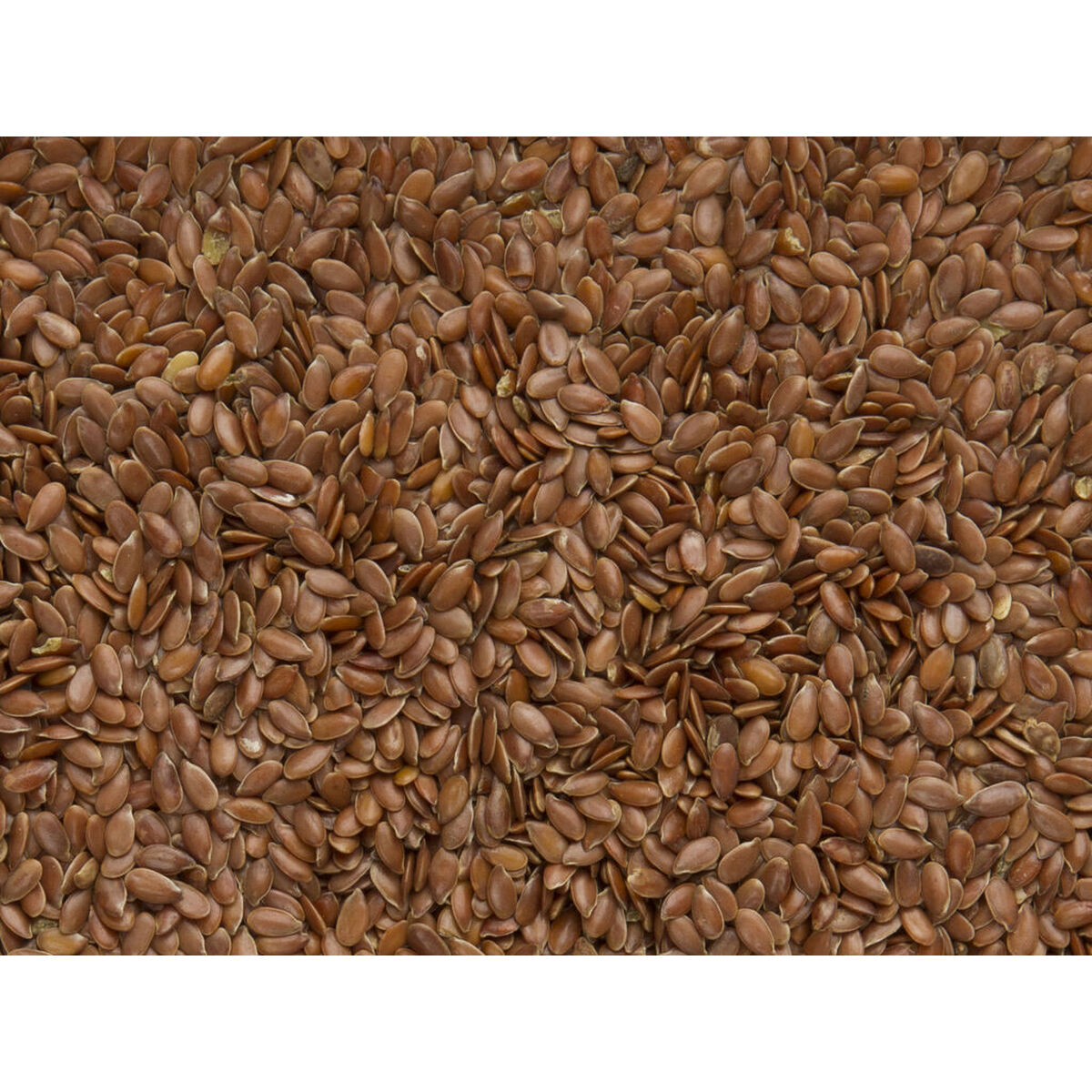 Fuglefoder Deli Nature Premium