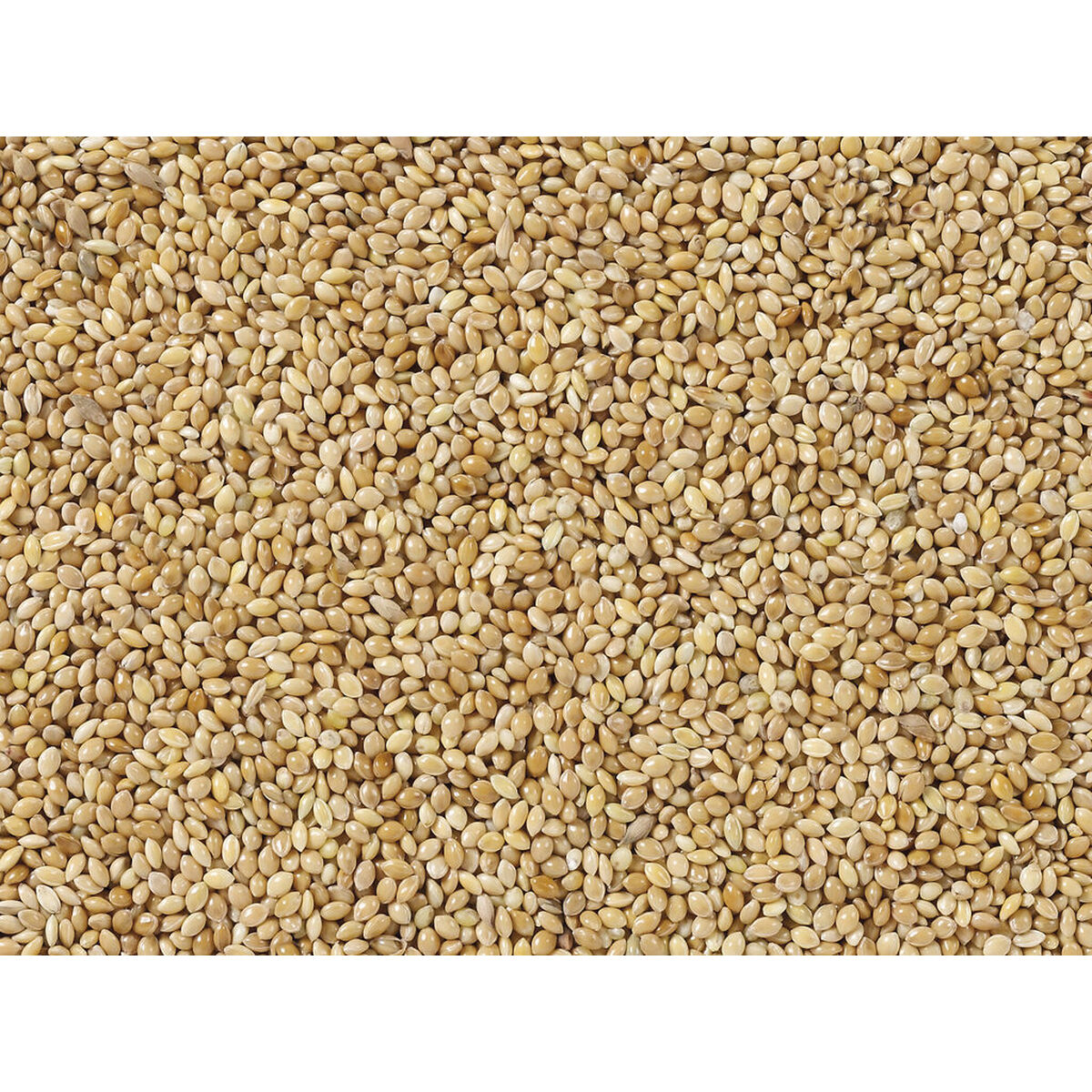 Fuglefoder Deli Nature Premium 5 kg