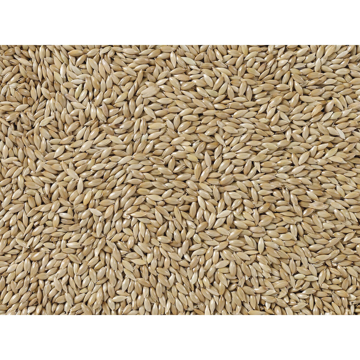 Fuglefoder Deli Nature Premium 5 kg