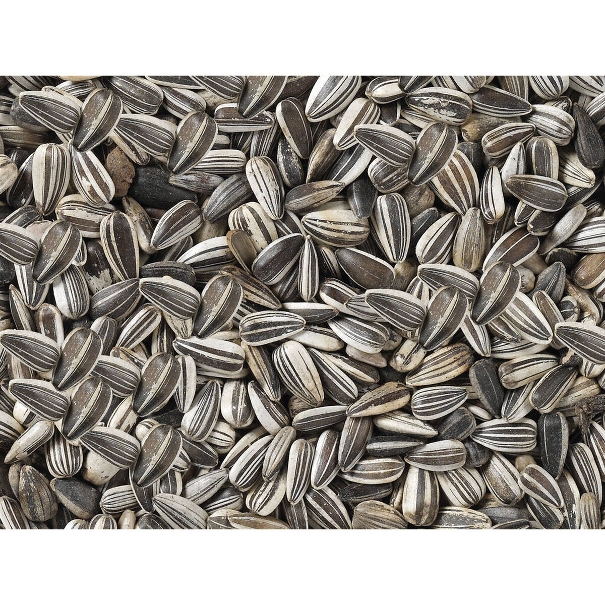 Fuglefoder Deli Nature Premium 2,5 kg