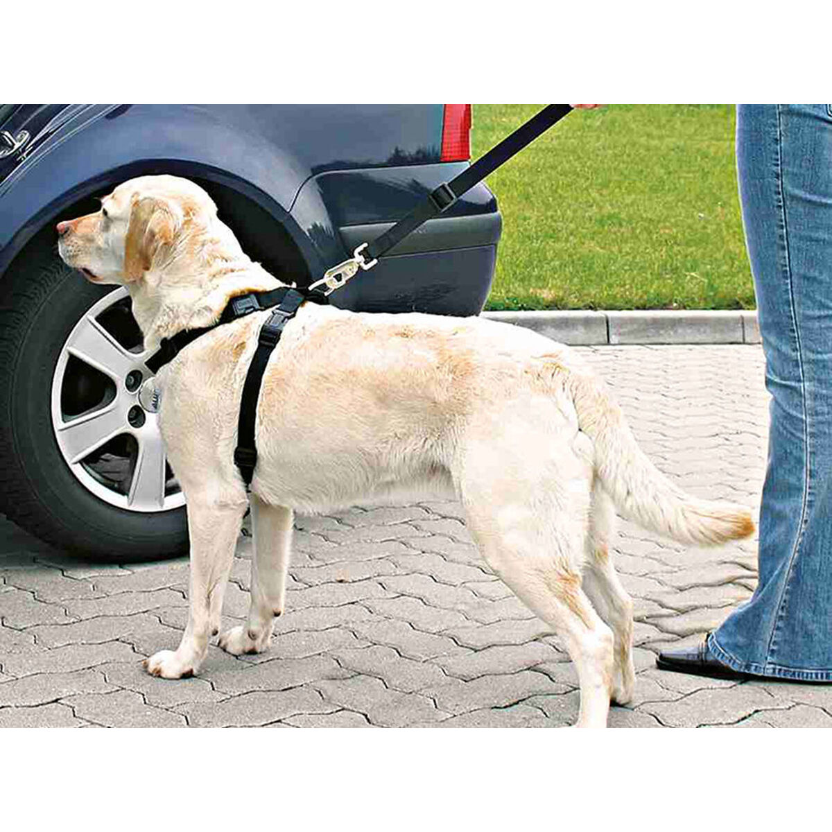 Hundesele Trixie Sort M