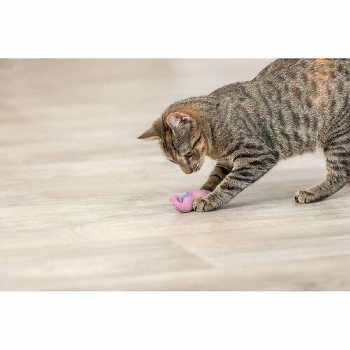 Jouet pour chats Trixie