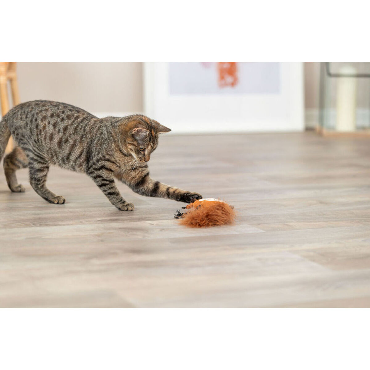 Kattenspeeltje Trixie