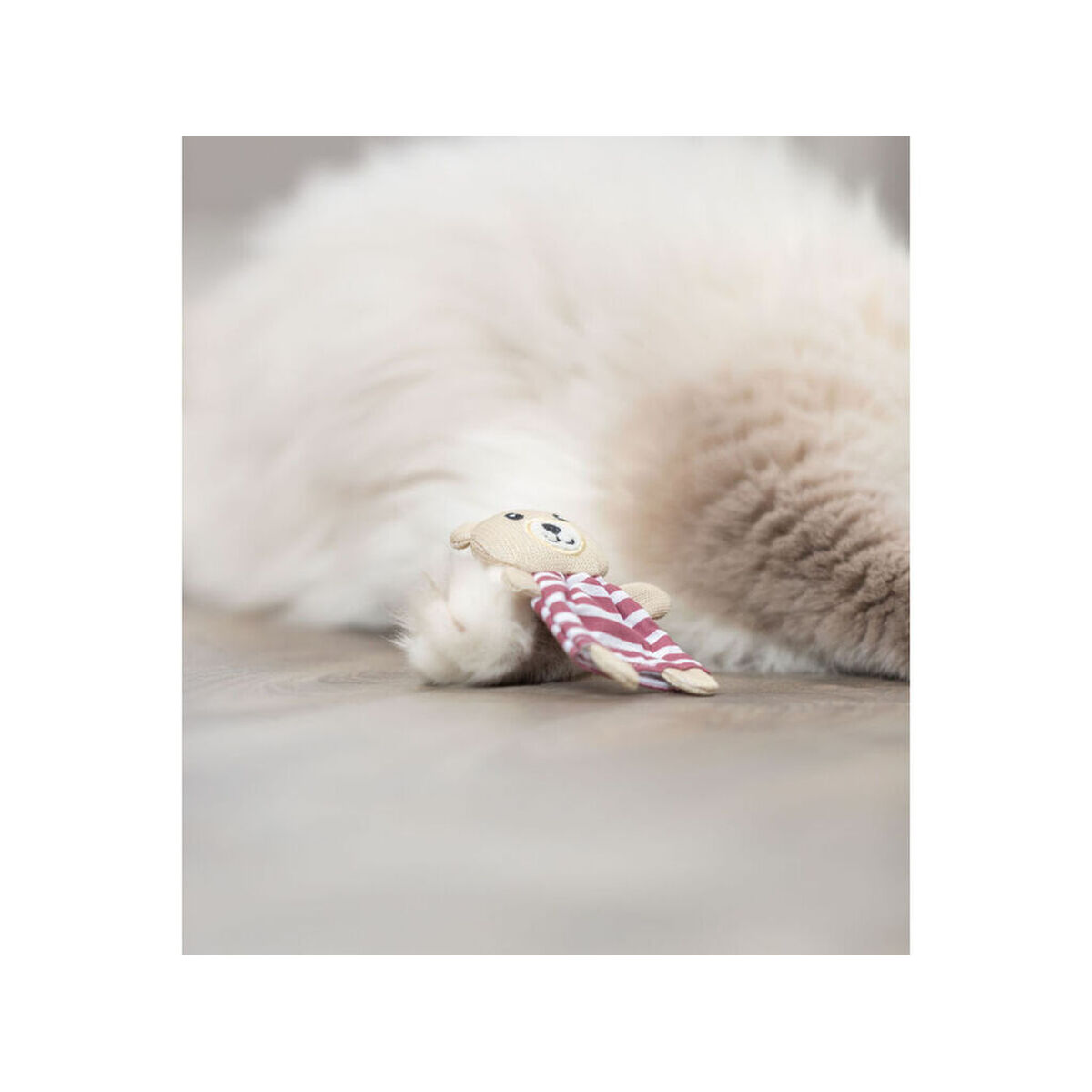 Kattenspeeltje Trixie