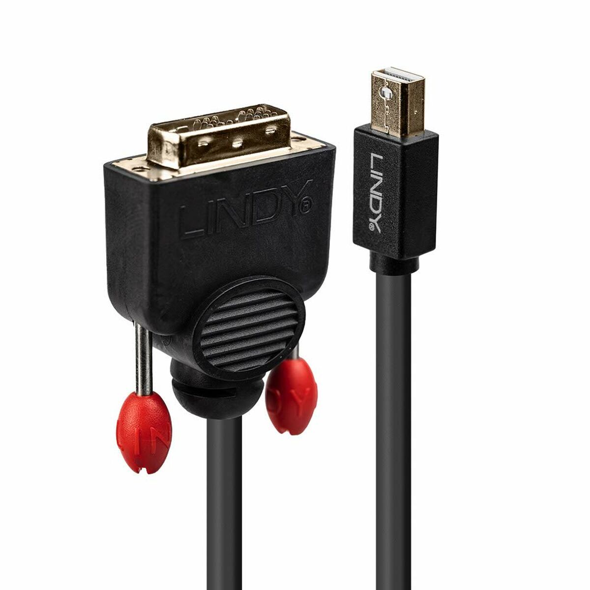 Mini DisplayPort til DVI-adapter LINDY 2 m Sort