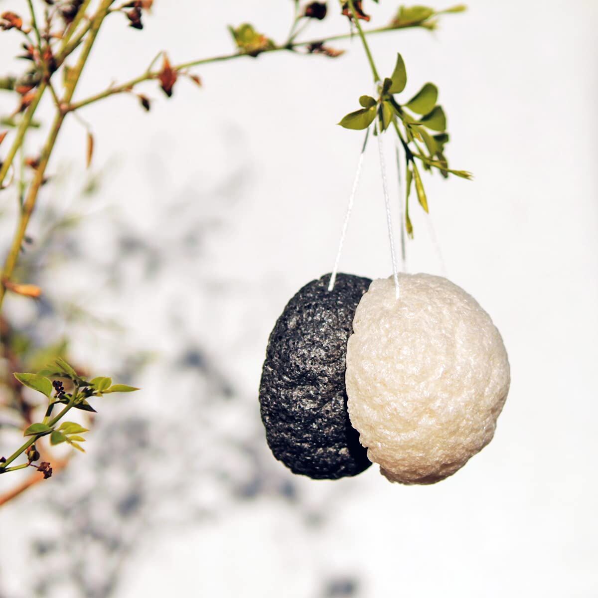 Spugna USU Cosmetics Konjac (1 Unità)