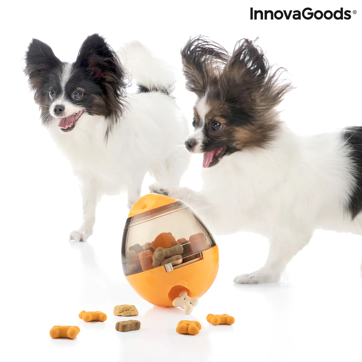 Products_to_sell_on_Amazon_Pet_Toy